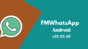 Unleash Advanced Messaging: Download FM WhatsApp Now